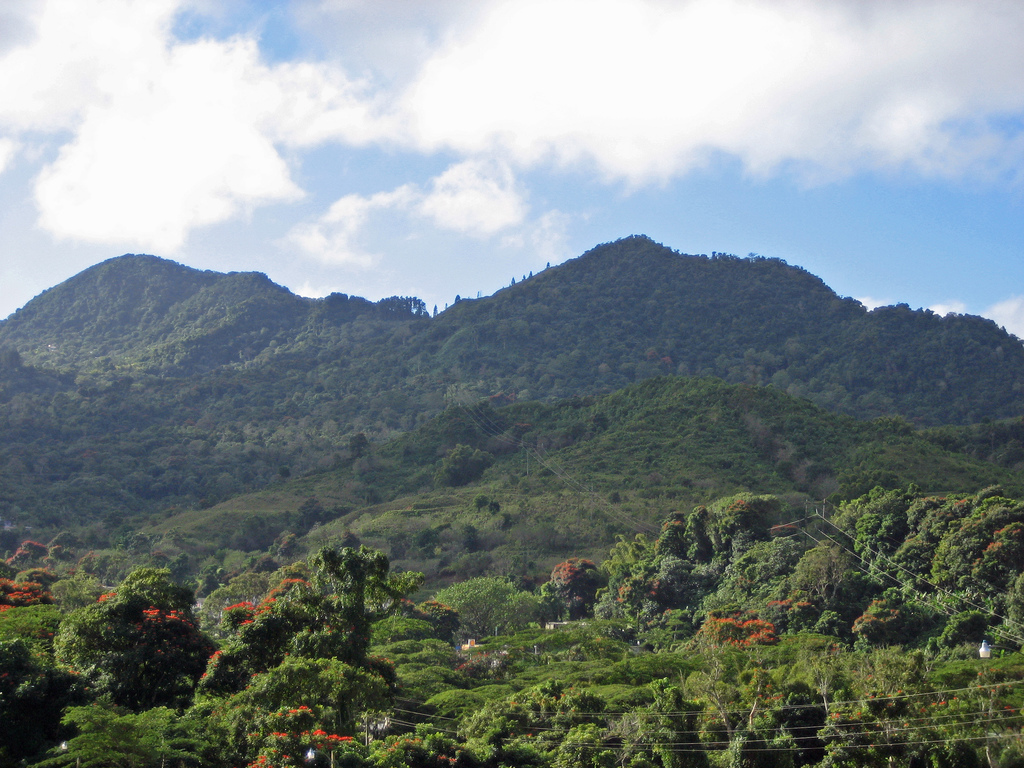 Región Central de Puerto Rico