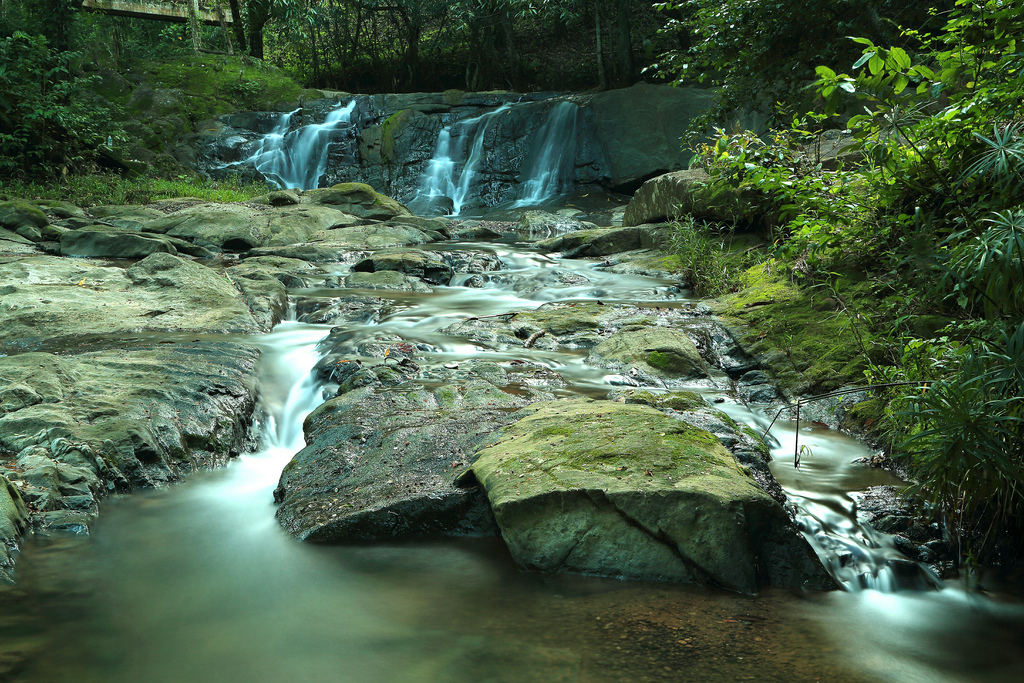 El Salto