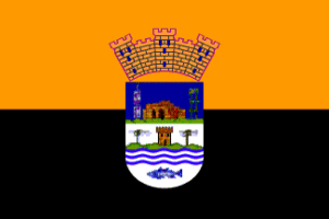 arroyo bandera