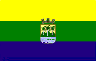 corozal bandera