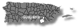 mapa guayama