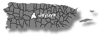 mapa jayuya