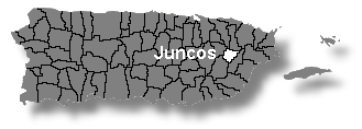 mapa juncos