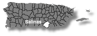 mapa salinas