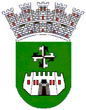 guaynabo escudo