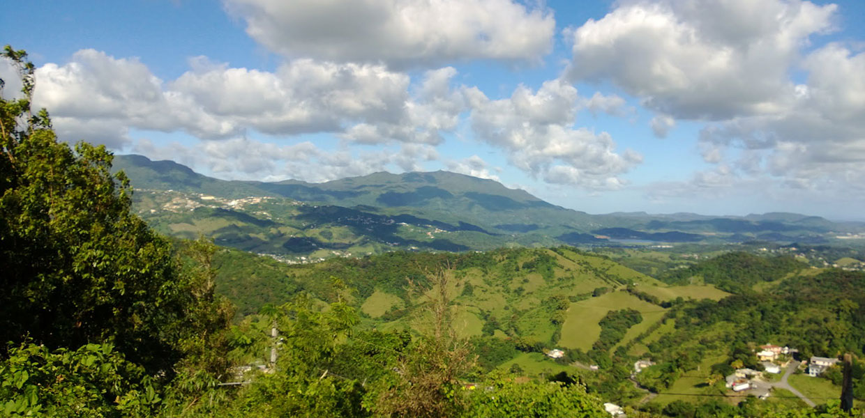 Las Piedras, Puerto Rico