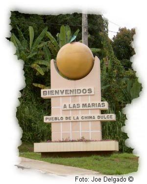 las marias bienvenido