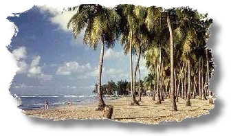 Playa de Luquillo