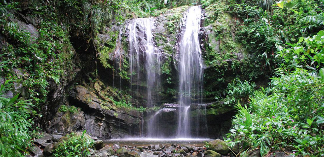 Rio Grande Puerto Rico El Yunque City Boricuaonline Com