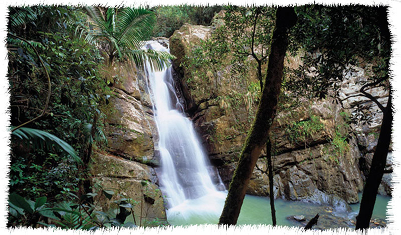 río grande yunque