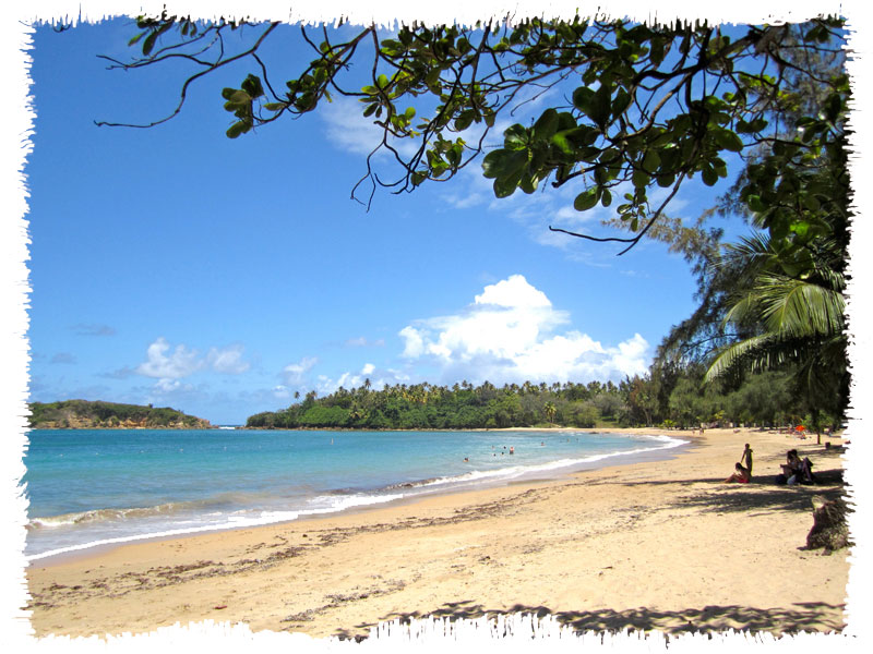 Playa Cerro Gordo, Vega Alta