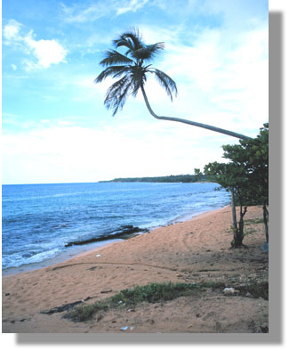 Playa de Puerto Nuevo, Vega Baja