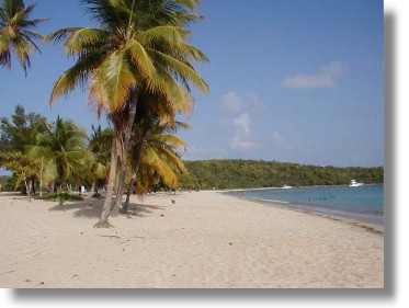 vieques sunbay