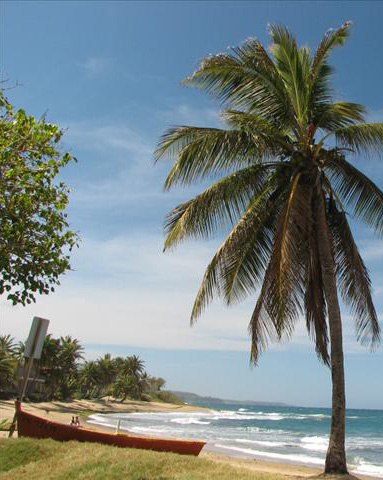 Playa Peñón Amador