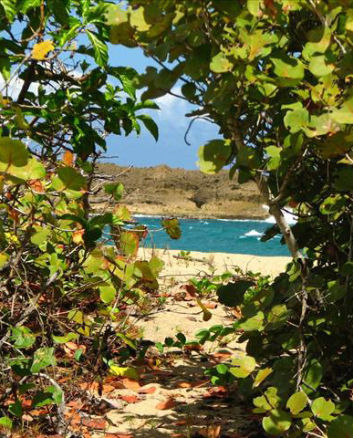 Playa Peñón Brusi