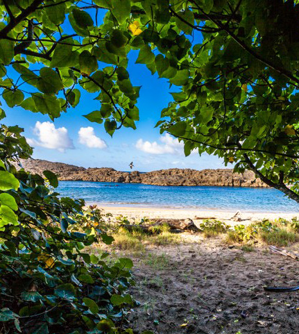 Playa Esperanza