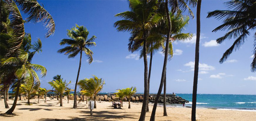 Playa Del Condado San Juan Puerto Rico Boricuaonline Com