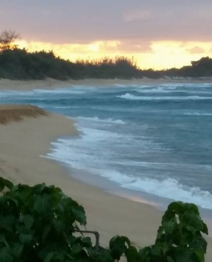 Playa Caza y Pesca