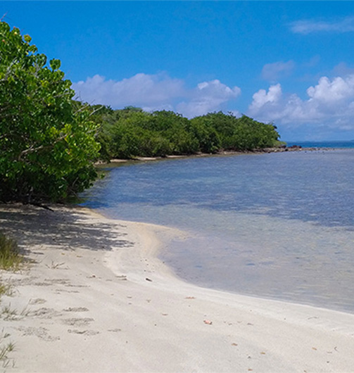 playa datiles