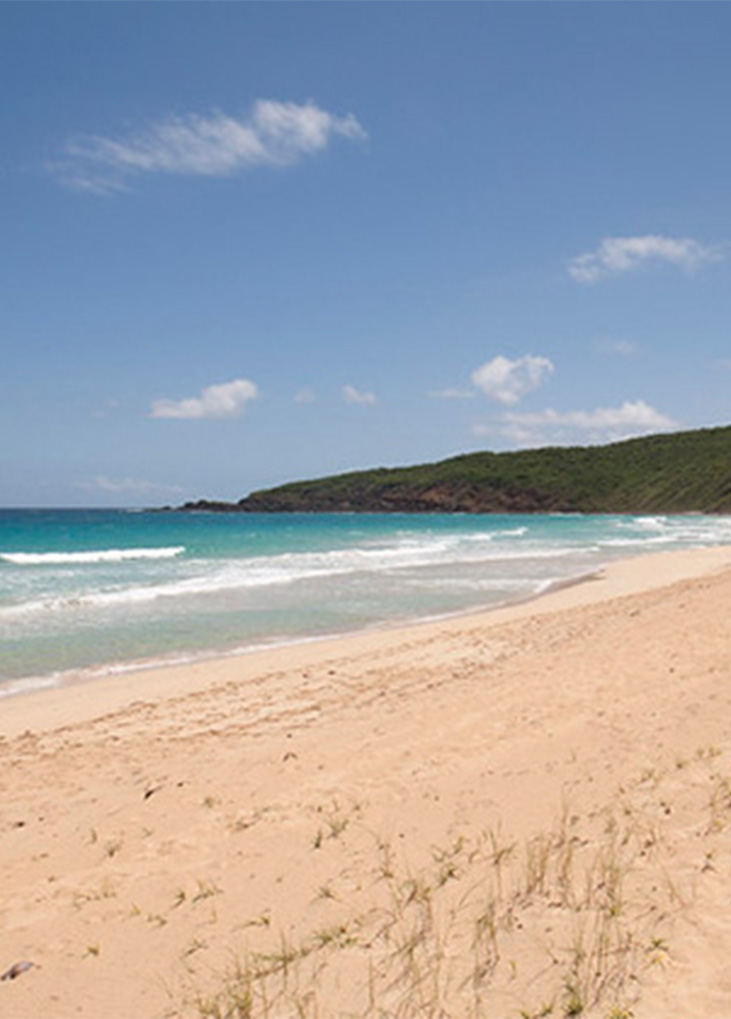 Playa Resaca