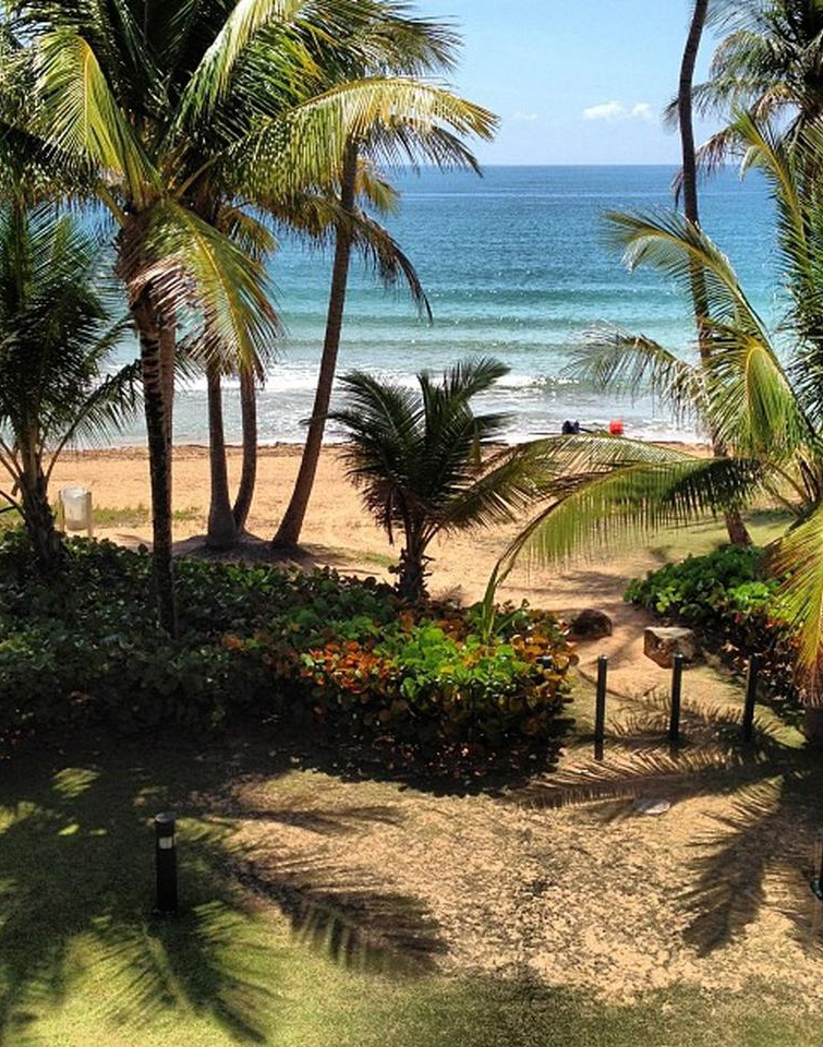 Playa Palmas del Mar