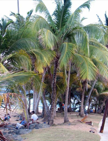 Playa La Pared