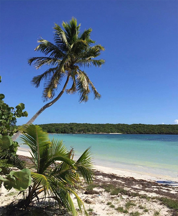 Discover Media Luna Beach: A Hidden Gem in Vieques