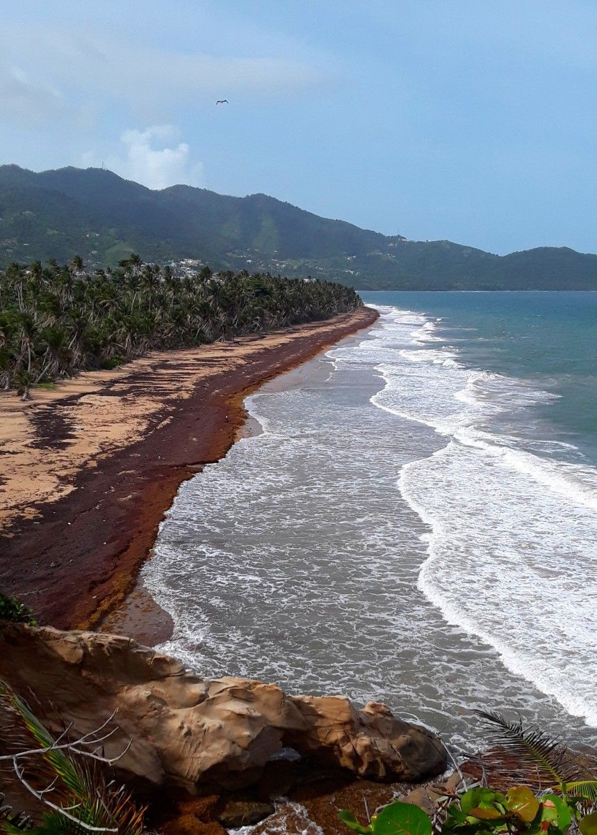 Playa Larga