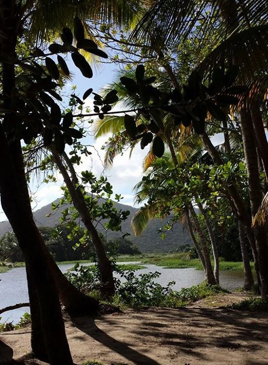 Playa Los Bohíos