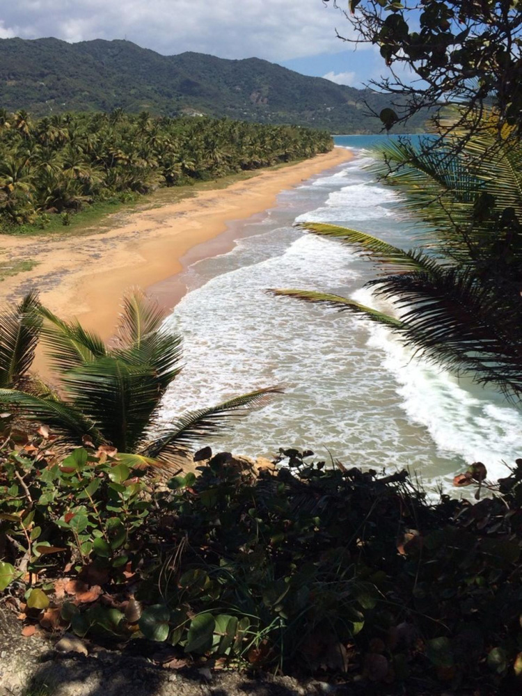 Playa Punta Tuna