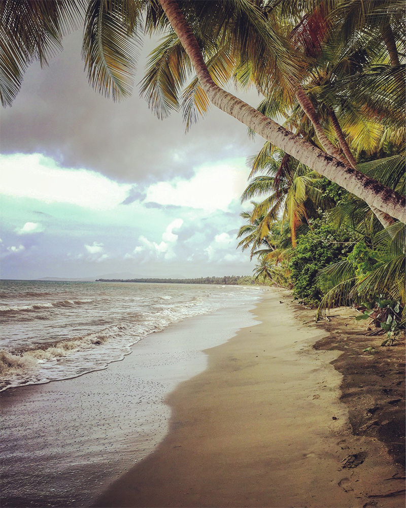 Playa Tropical