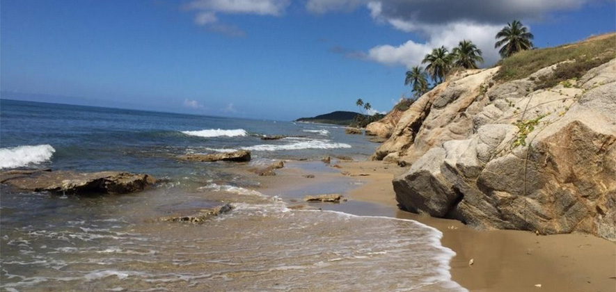 Black Sand Beach Vieques Puerto Rico Boricuaonline Com