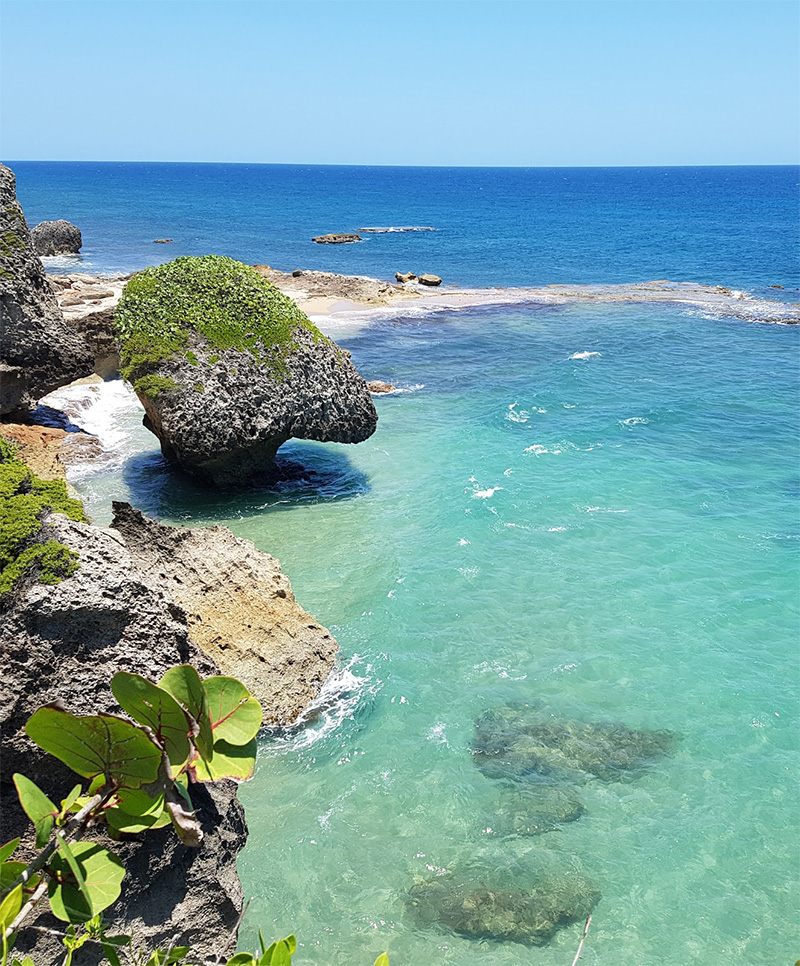 Survival Beach Aguadilla Puerto Rico BoricuaOnline