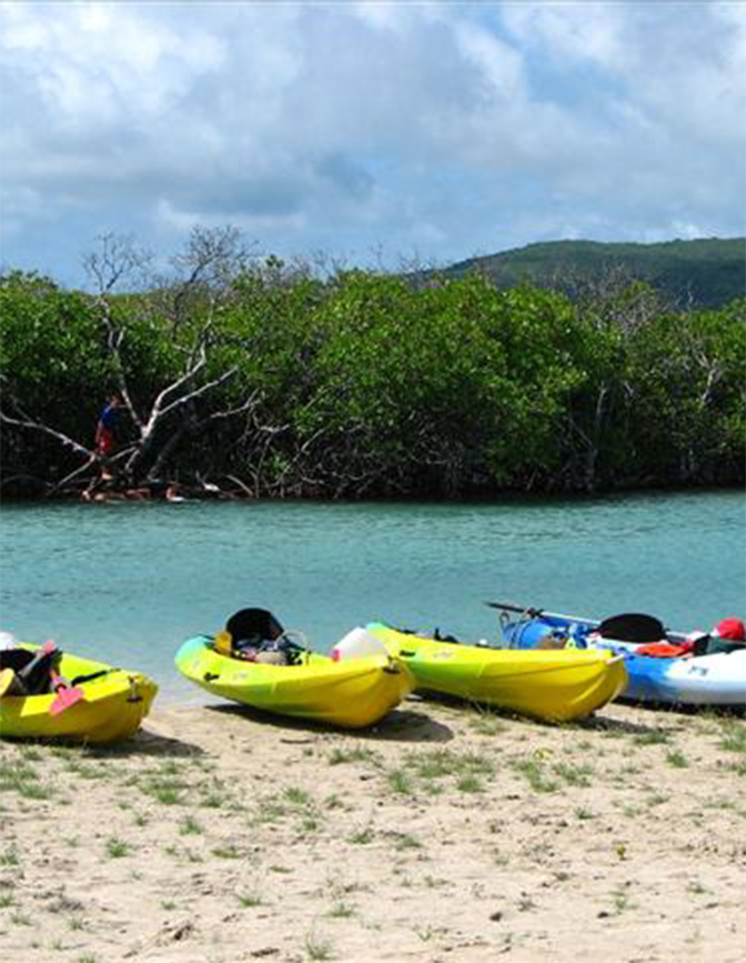 Playa Ballenas