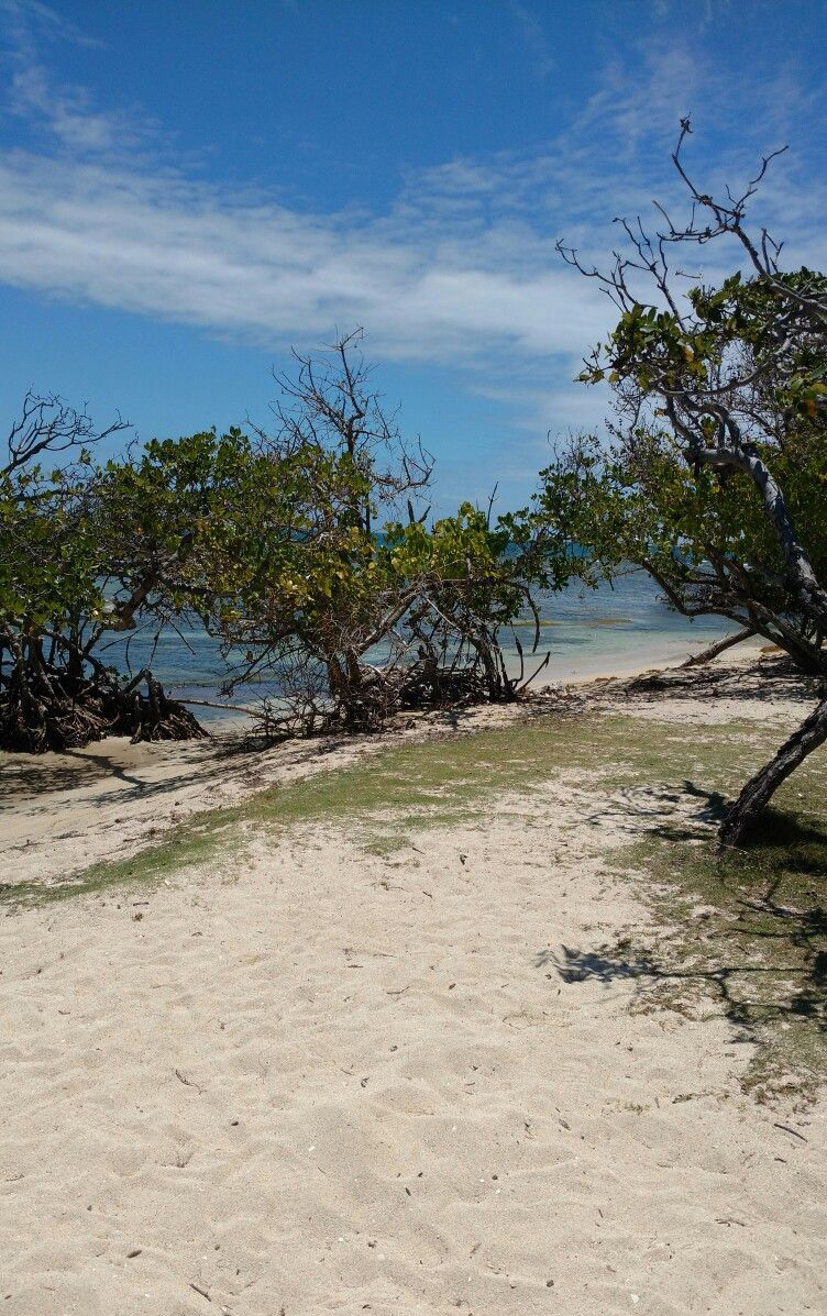 Playa Tamarindo en Guánica