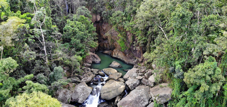 Bosque Nacional El Yunque - El Yunque National Forest