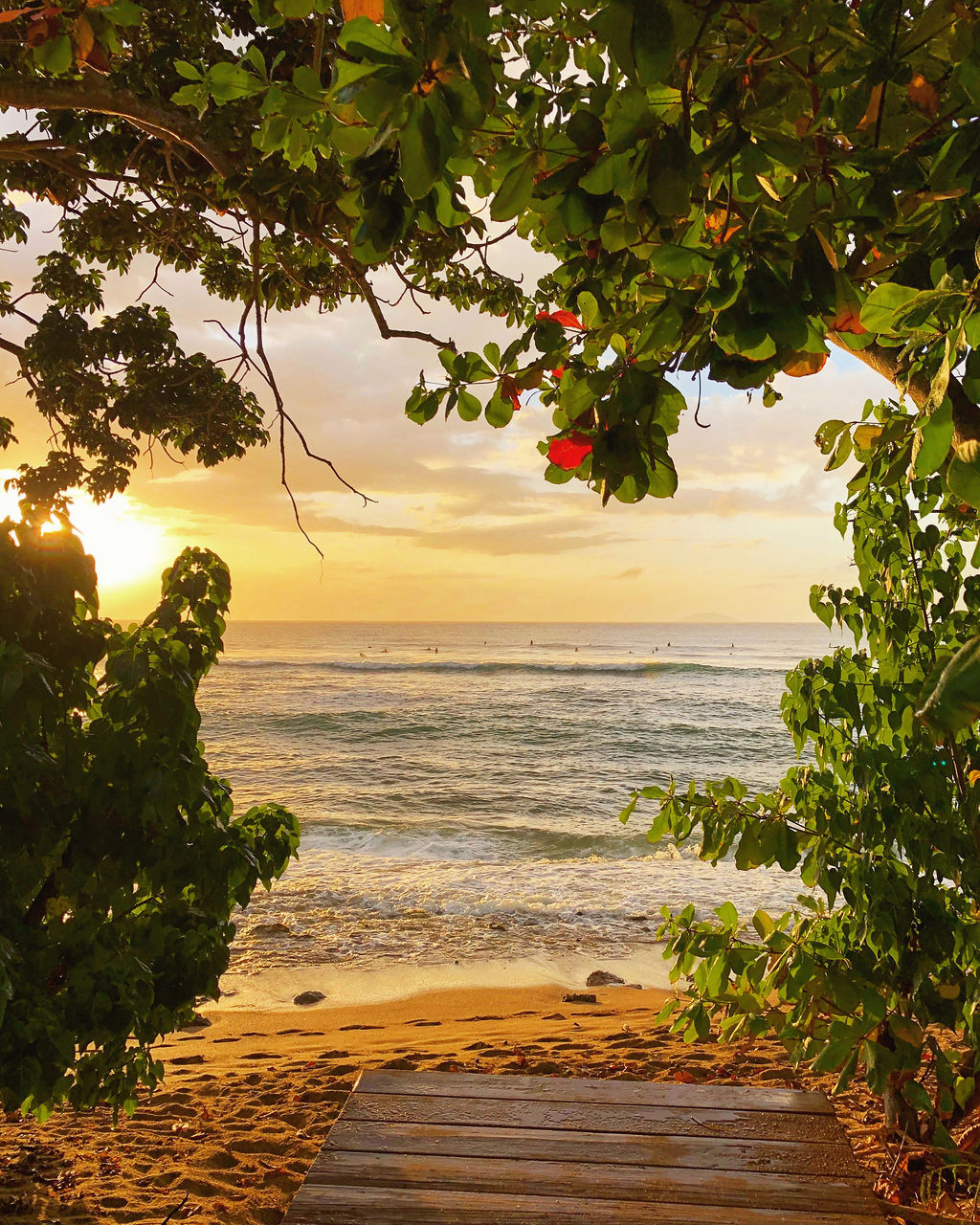 Playa Marias, Rincón, Puerto Rico | BoricuaOnline.com