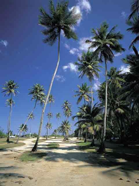 Wilderness Beach