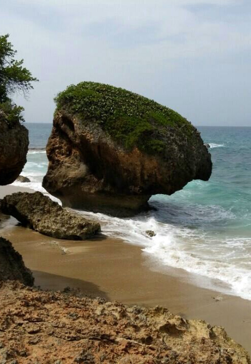 Surfer's Beach