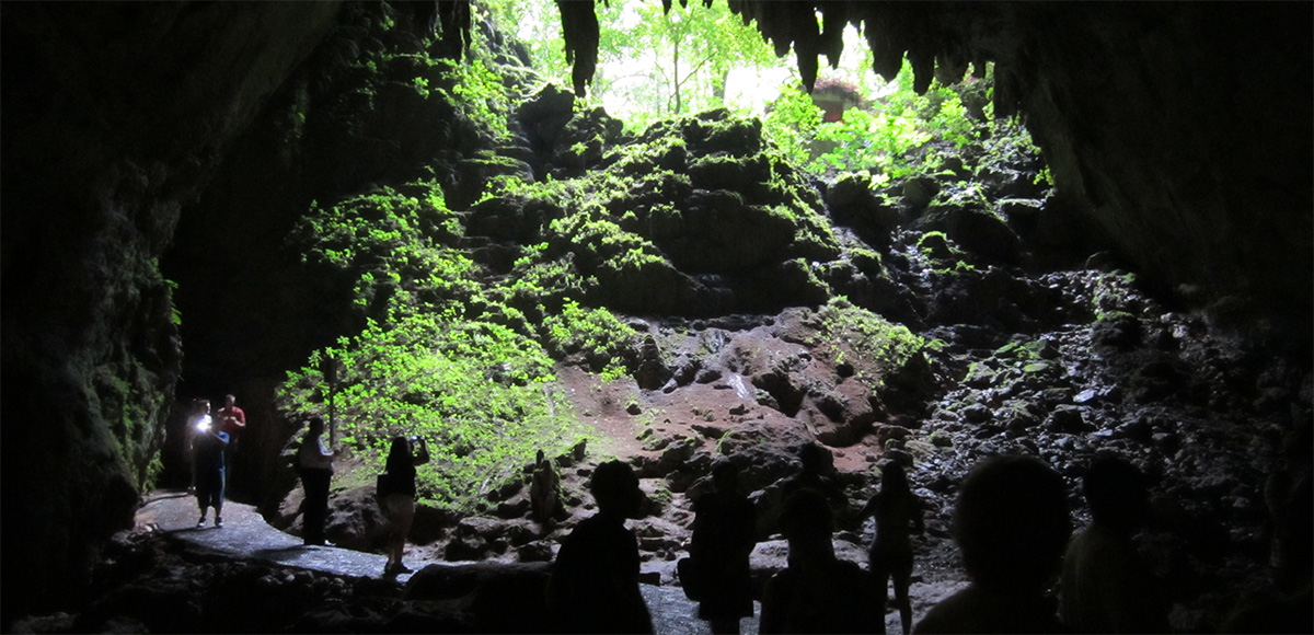 Caverns of the Camuy River National Park
