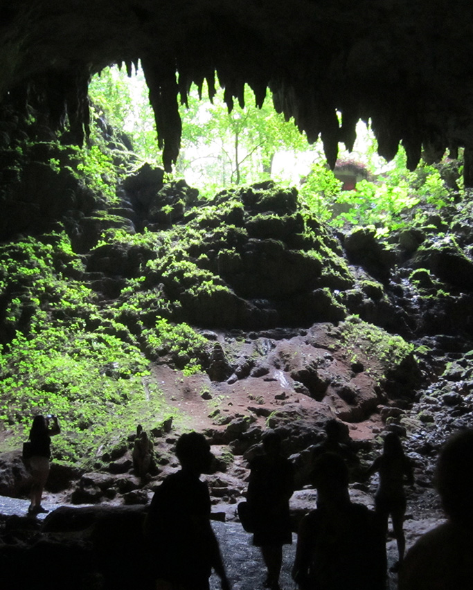 Caverns of the Camuy River National Park