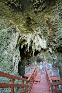 Caverns of the Camuy River National Park