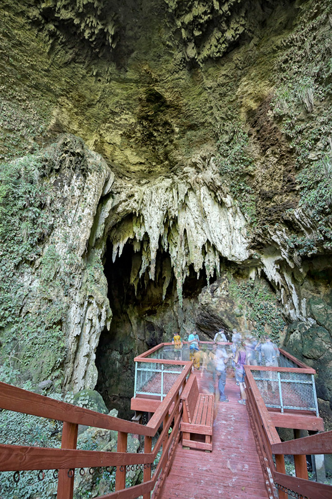 rio camuy caves tour