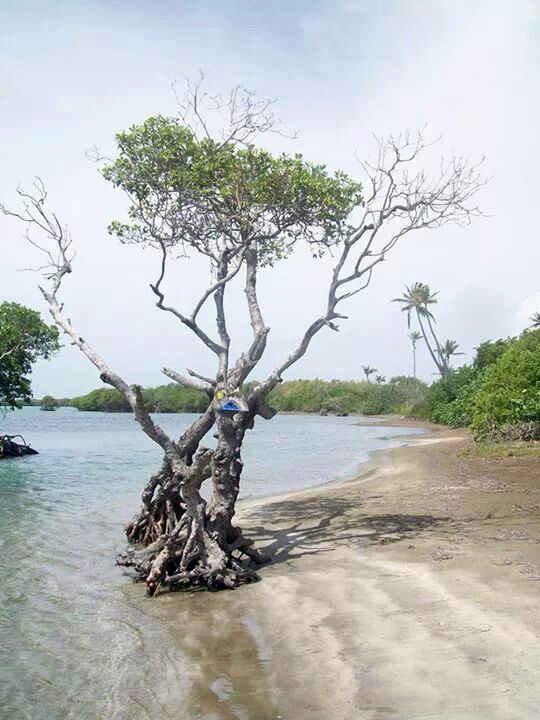 Playa Jauca