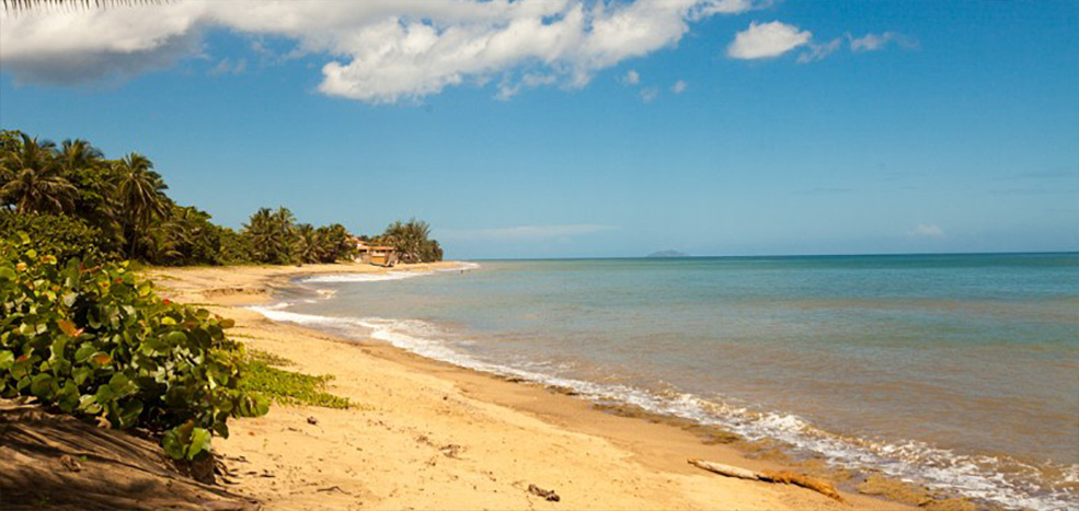 Rio Grande Beach Aguada Puerto Rico Boricuaonline Com