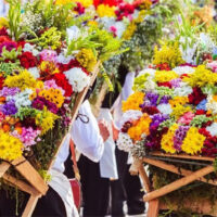 Festival of Flowers of Aibonito