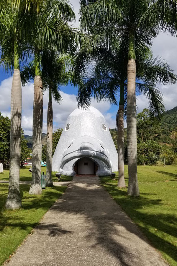 Museo El Cemí - Cemi Museum