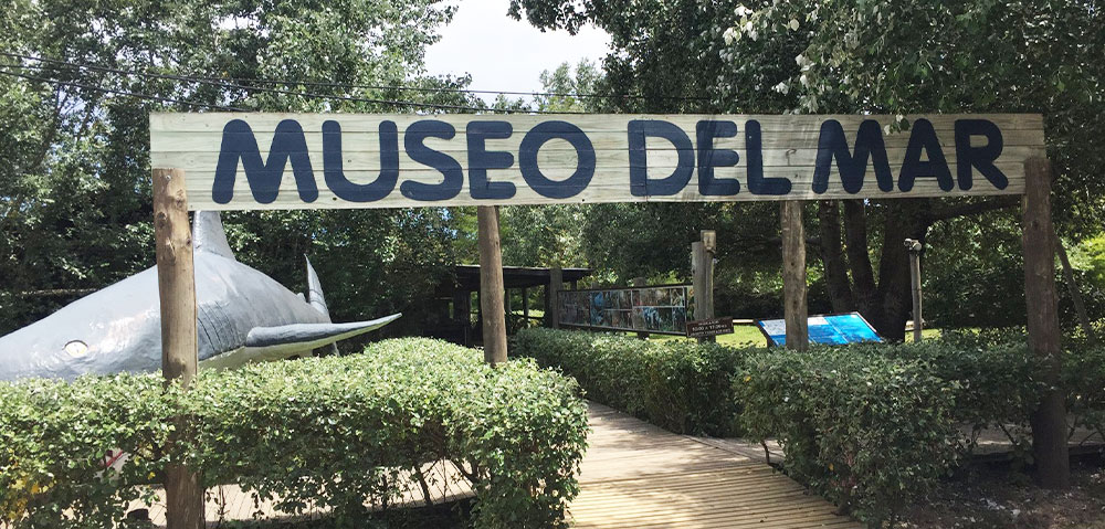 Museo del Mar