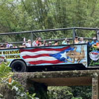 Chinchorreo in Puerto Rico