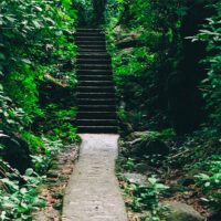 Hiking Trails
